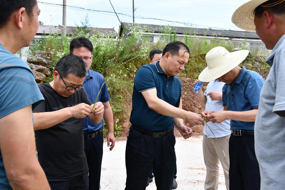 f92464f1291d4388a9ebc6a5f5c87922.jpg f92464f1291d4388a9ebc6a5f5c87922.jpg