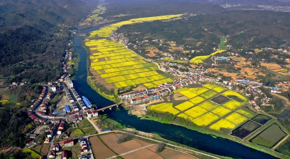 8a11d7c1a0154891b7450e1cb805a817.jpg 8a11d7c1a0154891b7450e1cb805a817.jpg