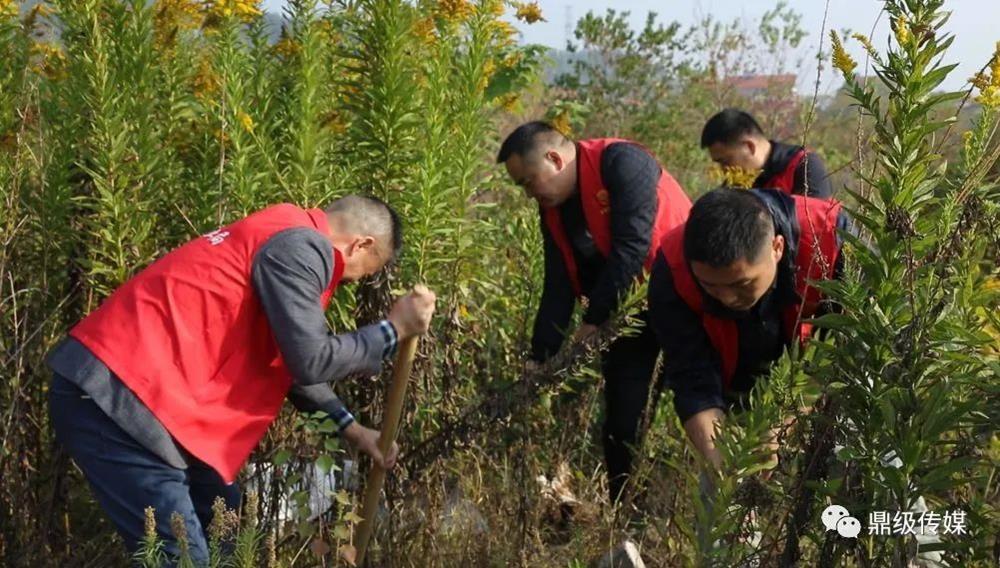 b42cc4c540d14c3a9ceb8ec2acad7f5c.jpg b42cc4c540d14c3a9ceb8ec2acad7f5c.jpg