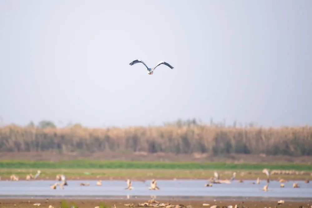 ce04116e568845df9f1643688d821553.jpg ce04116e568845df9f1643688d821553.jpg