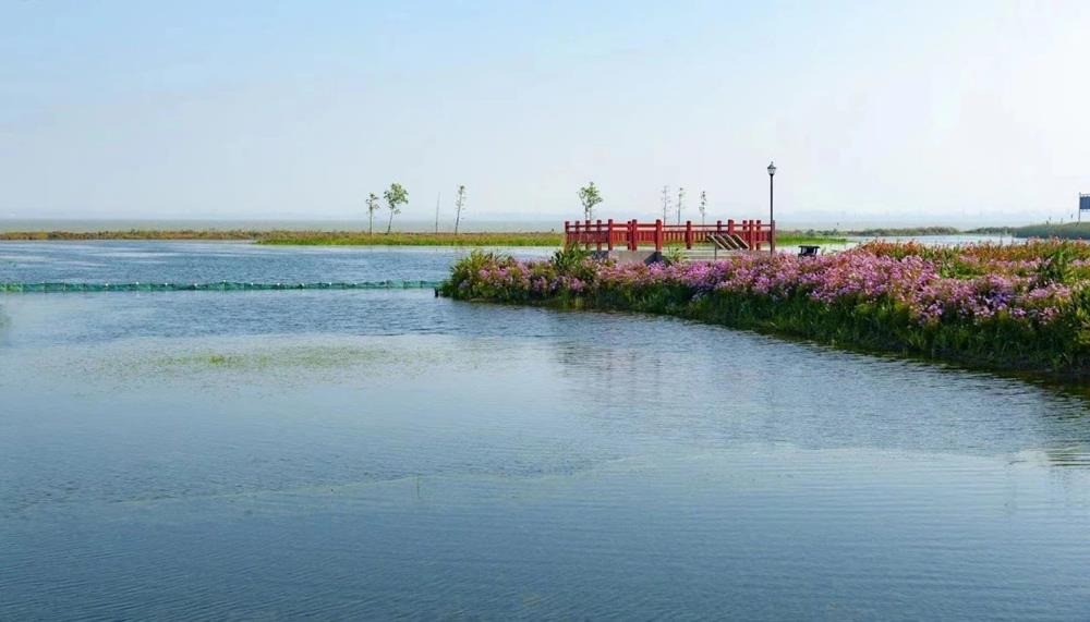 24b5920041874e5bb977486a11e942ea.jpg 24b5920041874e5bb977486a11e942ea.jpg