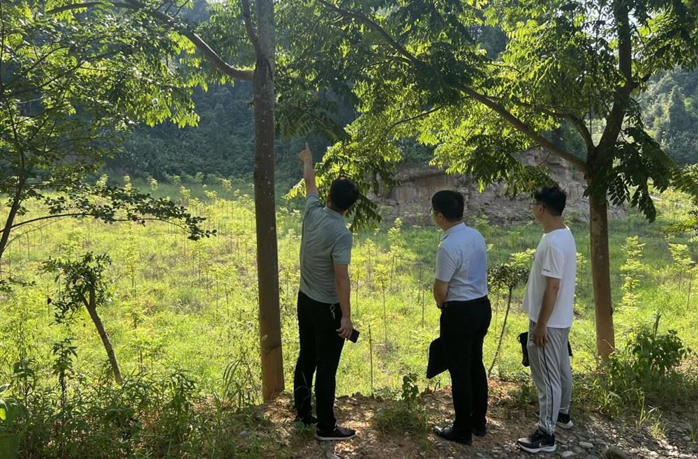 fa63fb0c5ae741d4be865afb0b126a69.jpg fa63fb0c5ae741d4be865afb0b126a69.jpg