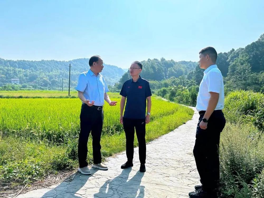 11119720260044b9acee18aa70c19c13.jpg 11119720260044b9acee18aa70c19c13.jpg