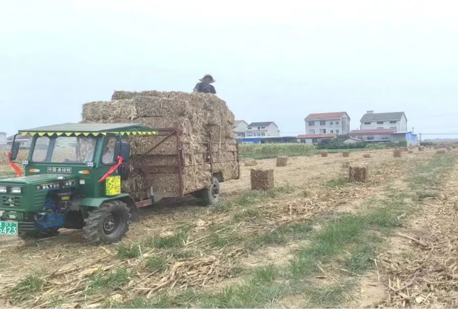 04c3287b1a264d669016edeac0ecccf8.jpg 04c3287b1a264d669016edeac0ecccf8.jpg