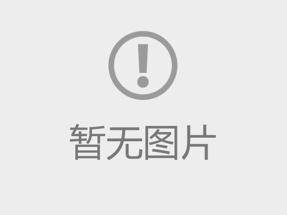 柳林鸭嬉
