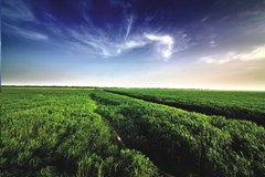 西洞庭湖国家级湿地自然保护区