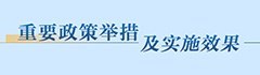 重要政策举措及实施效果