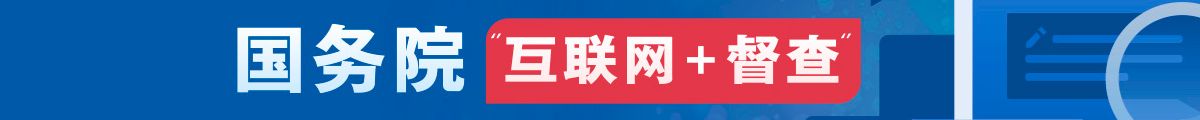 国务院“互联网+普查”