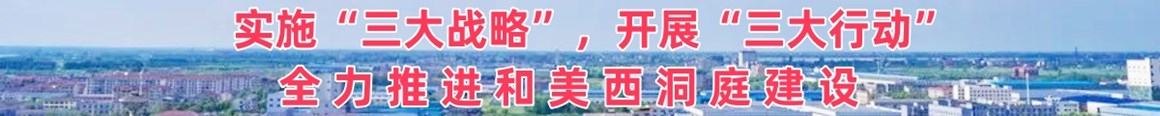 实施“三大战略”，开展“三大行动”，全力推进和美西洞庭建设