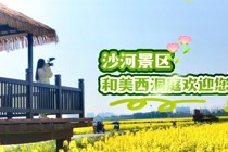 春日特邀！和美西洞庭欢迎您