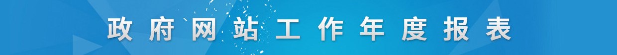 网站工作年度报表
