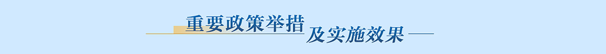 重要政策举措及实施效果