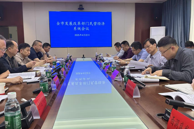 市发展改革委（市国动办）召开民营经济系统会议