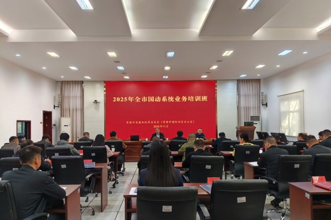 市发展改革委（市国动办）举办2025年度全市国动系统业务培训会