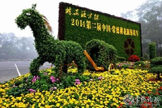 第二届中国·常德桃花源菊花节昨日开幕