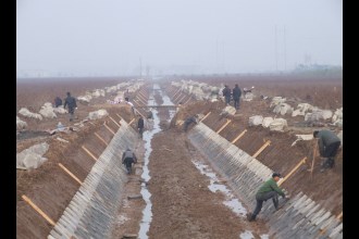西湖管理区西洲乡土地综合整治项目施工现场