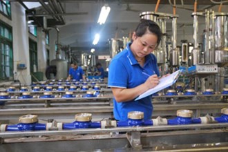“中国驰名商标”牌匾落户常德牌水表制造有限公司