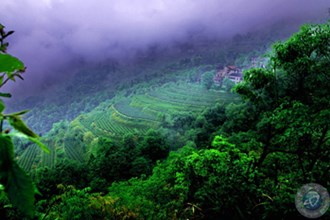 石门罗坪风光