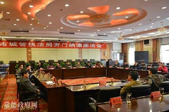 优化经济环境形象监督员和网友代表共同“把脉”城市管理工作（组图）