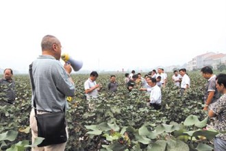 澧县第二期农民田间学校开班