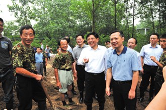 鼎城善卷垸今晨处置一特大管涌群