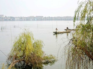 晨沐渔舟