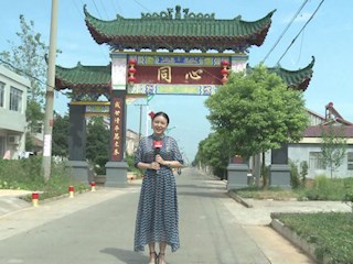 美丽乡村系列访谈-魅力同心 共建同享