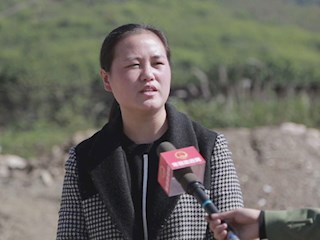 美丽乡村系列访谈-平安子良 活力子良 生态子良