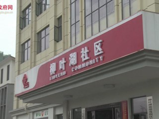 完美社区系列访谈一柳叶湖社区