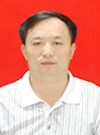 陈柏枝