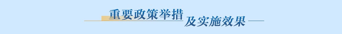 重要政策举措及实施效果