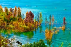 石门仙阳湖湿地