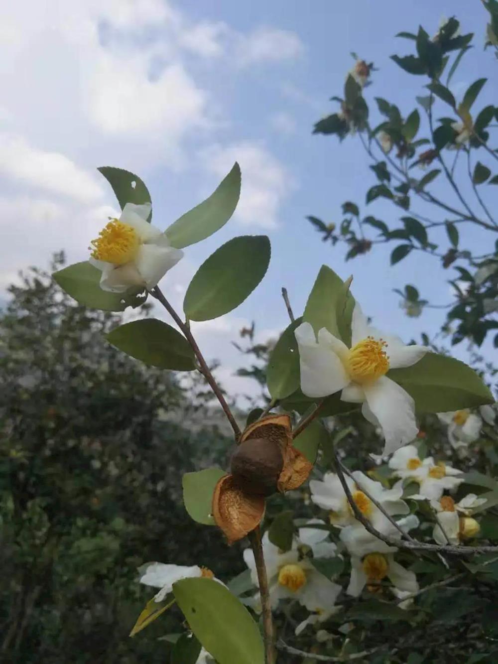 ba0c9c21a33f4c37ae214fc0051930c0.jpg ba0c9c21a33f4c37ae214fc0051930c0.jpg