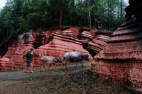 《红石林》 石门罗坪