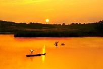 白鹭共晚霞齐飞