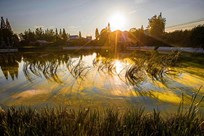湿地晚霞