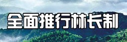全面推行林长制