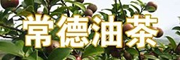 油茶产业发展