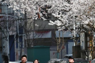 高山街赏花
