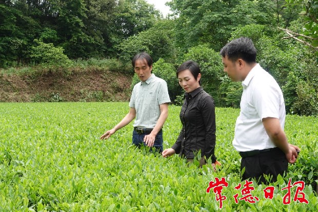 点村工作要努力促进“五个”振兴