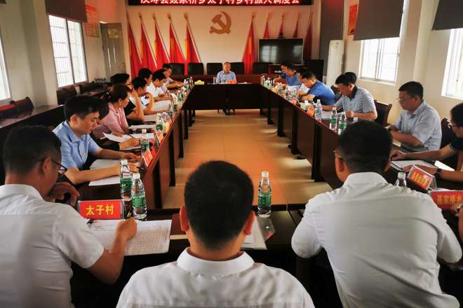 市领导到汉寿县调研党史学习教育和乡村振兴工作