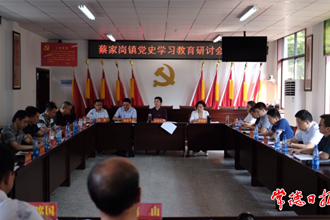 市领导赴蔡家岗镇指导党史学习教育时强调：要将思想上的收获 变成行动上的自觉