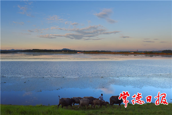 发现常德之美【组图】