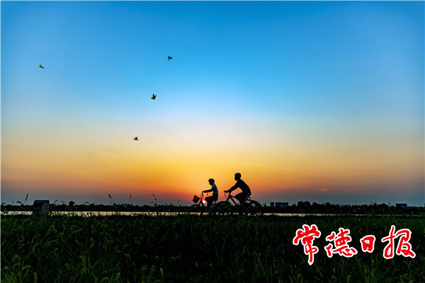 发现常德之美【组图】