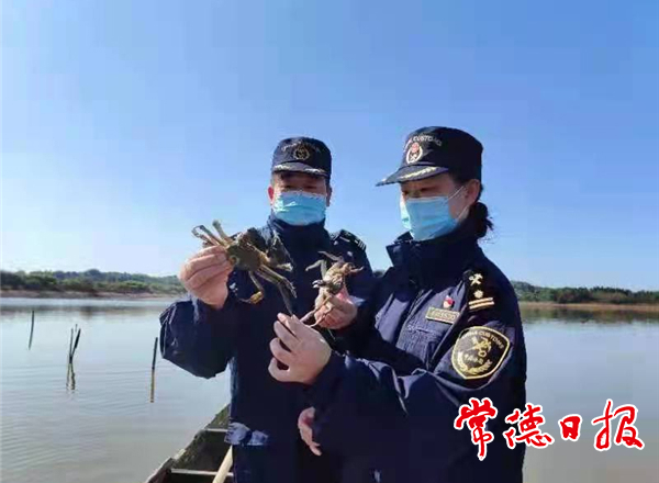 【经济】汉寿产大闸蟹首次出口非洲 外贸实现新突破