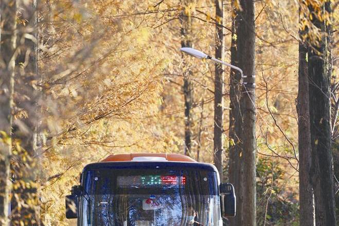 【社会】常德市公交公司调整Y35路线