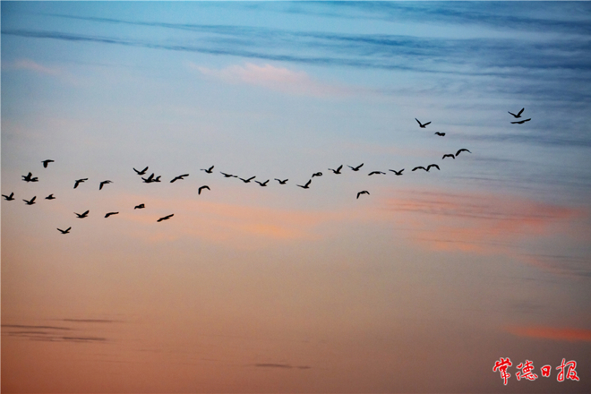 冬日美好【组图】