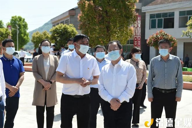 周振宇到澧县调研：以产业大发展带动乡村大振兴