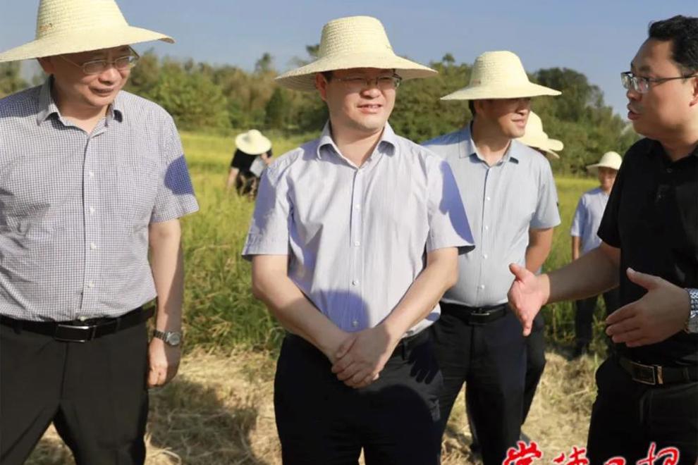 周振宇赴鼎城区、石门县调研抗旱保供、乡村振兴等工作时强调 精准施策 坚决打好打赢抗旱保供这场硬仗