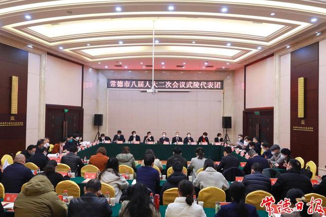 周振宇参加武陵区代表团分团审议